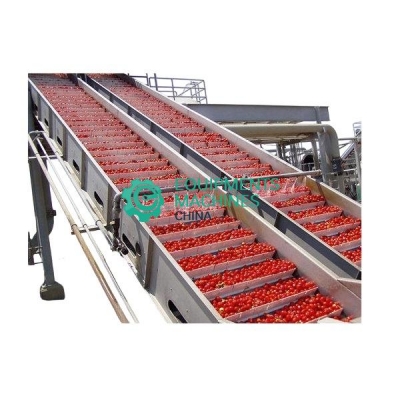 Tomato Ketchup Processing Plant