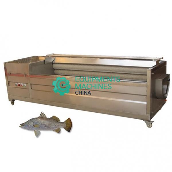 Commercial Fish Scaling Machine