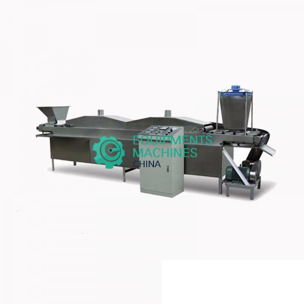 Continuous Fryer