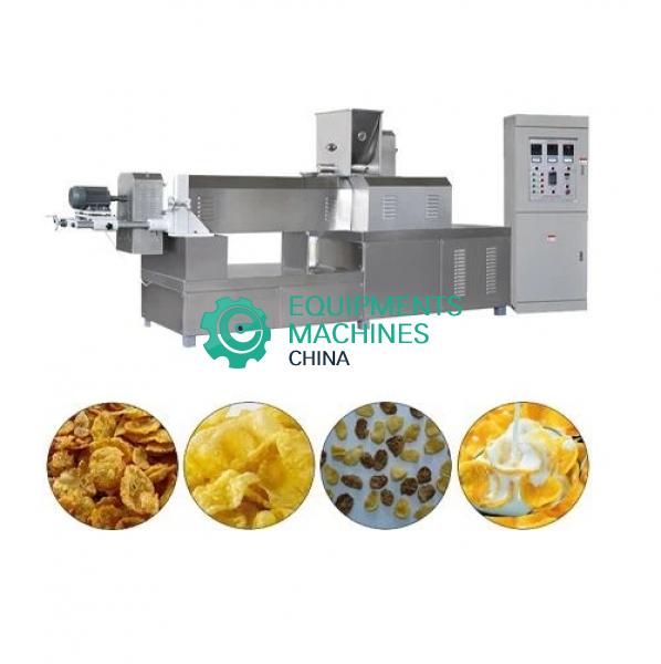 Corn Flakes Manufacturing Plant