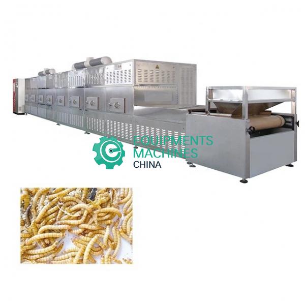 Cricket Black Soldier Fly Larvae Drying Machine