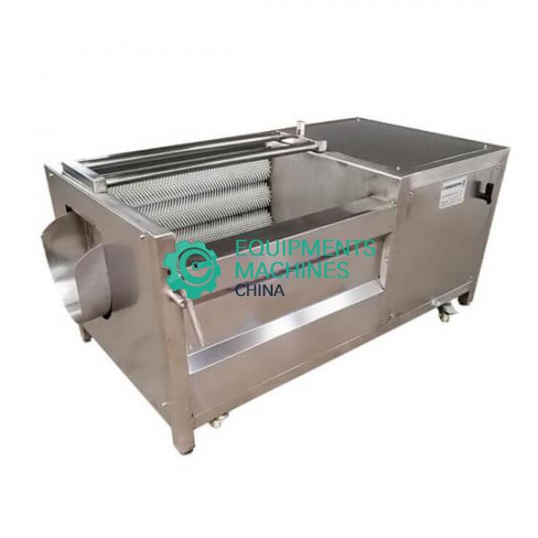 Fish Scale Removing Machine