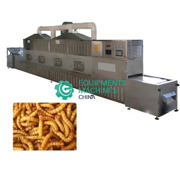 Industrial BSF Meal Worms Insects Tenebrio Molitor Microwave Dryer Machine