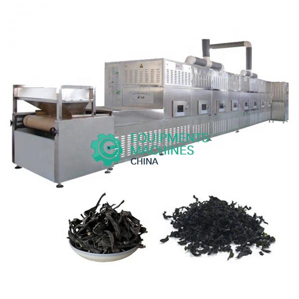 Industrial Microwave Drying Equipment