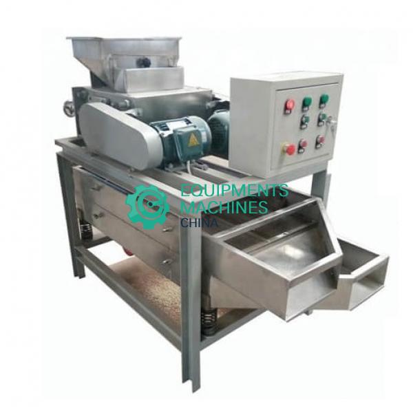 Peanut and Almond Kernel Chopping Machine