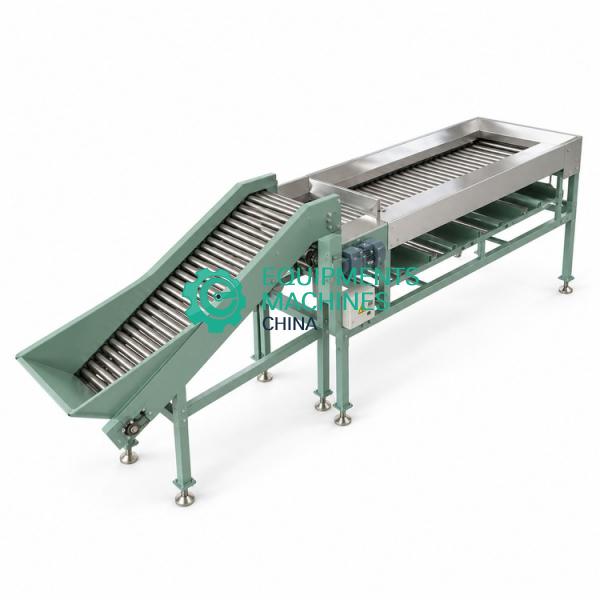 Food Roller Sorting Machine