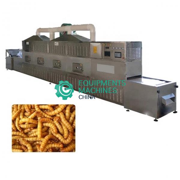 Tunnel Belt Microwave Tenebrio Mealworm Dryer