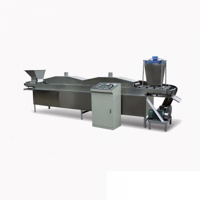 Continuous Fryer