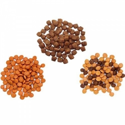 Dog Food Processing Extruder