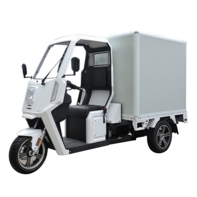Electric Three Wheeler