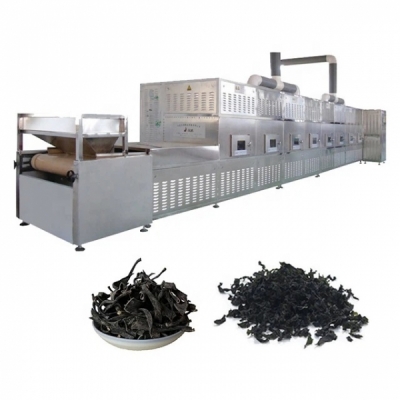 Industrial Microwave Drying Equipment